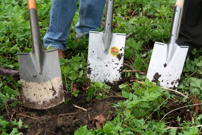 pepiniere-HYERES-min_work-lawn-flower-tool-green-backyard-1103633-pxhere.com